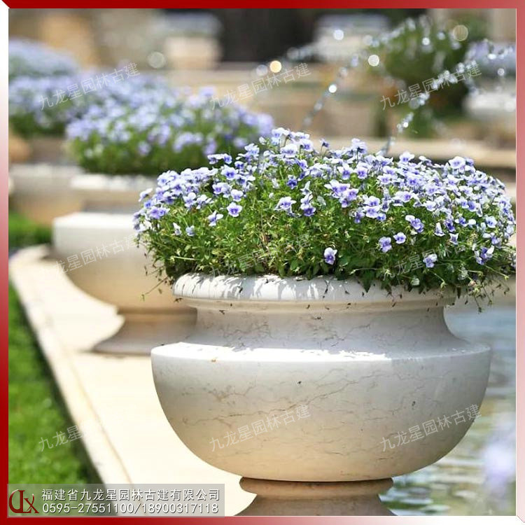 埃及米黃花缽圖片